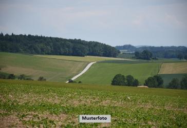 Vorschaubild Grundstück