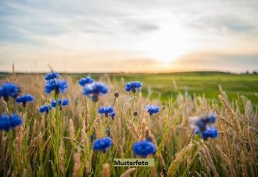 Land-/Forstwirtschaftsflächen - provisionsfrei