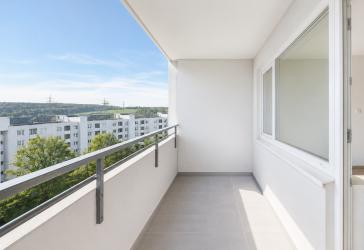 Renovierte, helle und bezugsfreie 3 Zi. Wohnung mit Weitblick (Erstbezug nach Renovierung)