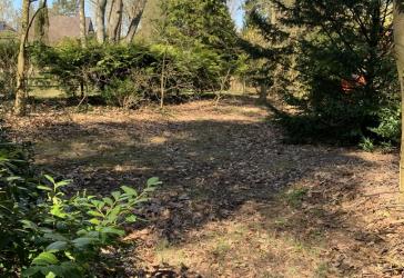 Attraktives Baugrundstück in begehrter Lage von Buchholz-Steinbeck – 794 m² – provisionsfrei