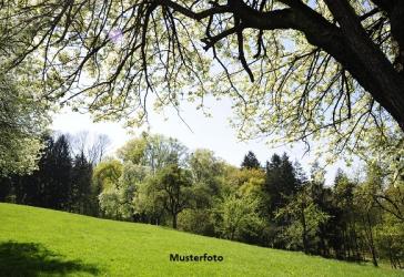 Vorschaubild Grundstück