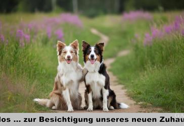 Vorschaubild Grundstück