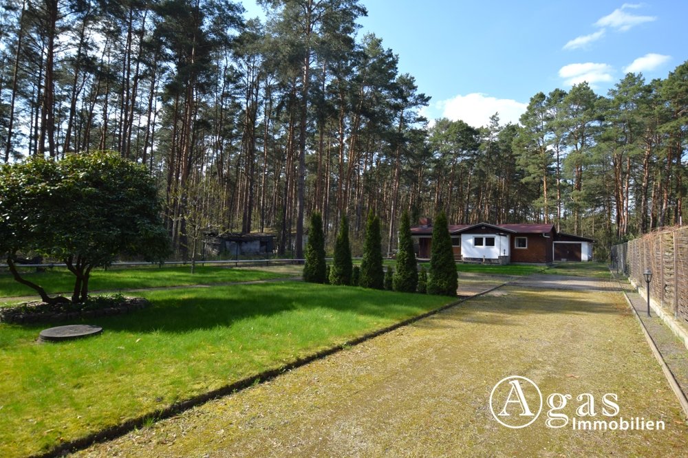 Haus kaufen Borkheide Hauskauf Borkheide von privat, provisionsfrei