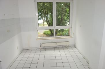 EXKLUSIV BILK NÄHE UNI HELL + RUHIG RENOVIERT KOMPLETT PARKETT DUSCHBAD TG-STELLPL. 1.OG / AUFZUG – Düsseldorf – Vorschaubild 6
