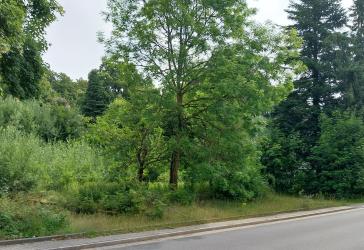 Vorschaubild Baugrundstück