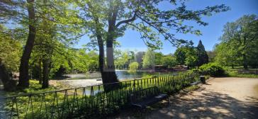 RARITÄT: Südstadt-Juwel mit Balkon + Loggia am Volksgarten – Köln – Vorschaubild 6