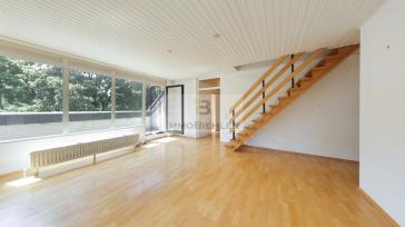 Maisonette am Rhein · 4 Zi. 111 m² · Balkon ins Grüne + Dachterrasse · Marienburg · bezugsfrei