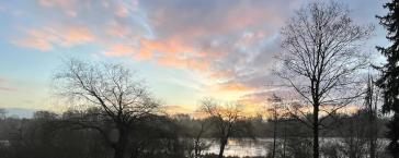 Property thumbnail 38