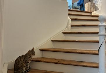 Vorschaubild Maisonettewohnung