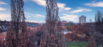 Property thumbnail 12