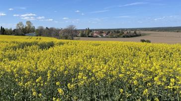 EXKLUSIVES EINFAMILIENHAUS IN RUHIGER UND GRÜNER LAGE VON BÜHLAU – Dresden – Vorschaubild 17