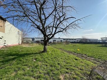 Property thumbnail 6